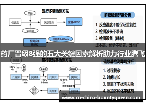 药厂晋级8强的五大关键因素解析助力行业腾飞 药厂晋级8强的五大关键因素解析助力行业腾飞