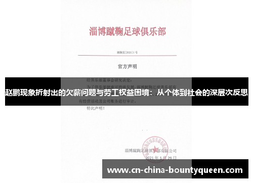 赵鹏现象折射出的欠薪问题与劳工权益困境：从个体到社会的深层次反思