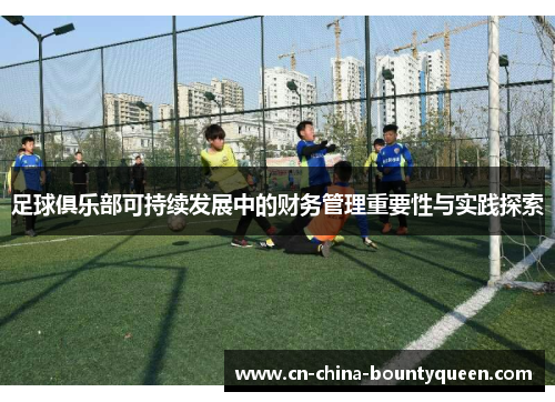 足球俱乐部可持续发展中的财务管理重要性与实践探索 足球俱乐部可持续发展中的财务管理重要性与实践探索