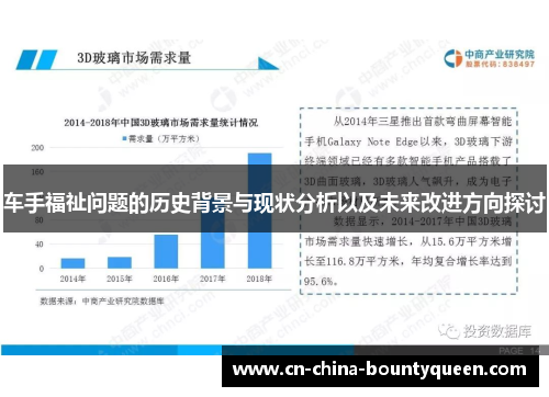 车手福祉问题的历史背景与现状分析以及未来改进方向探讨
