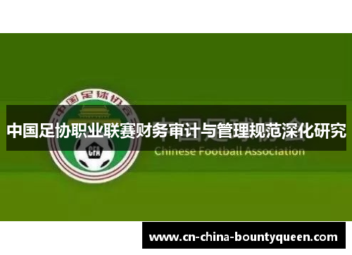 中国足协职业联赛财务审计与管理规范深化研究