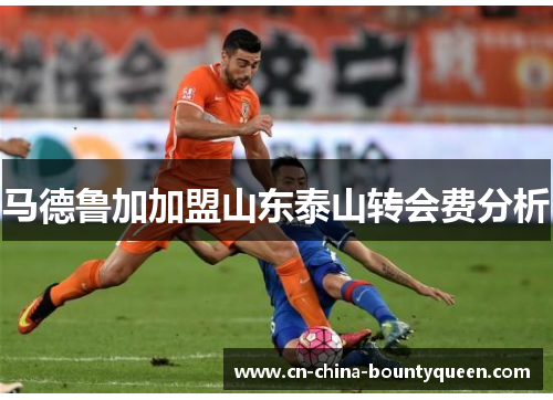马德鲁加加盟山东泰山转会费分析