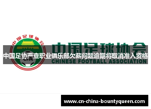 中国足协严查职业俱乐部欠薪问题逾期将取消准入资格