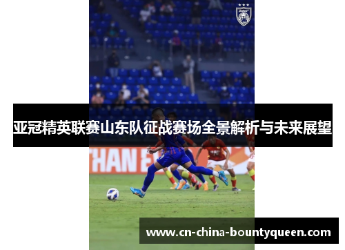 亚冠精英联赛山东队征战赛场全景解析与未来展望