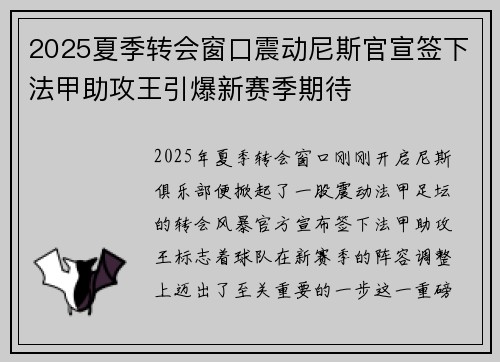 2025夏季转会窗口震动尼斯官宣签下法甲助攻王引爆新赛季期待