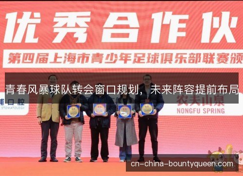 青春风暴球队转会窗口规划，未来阵容提前布局